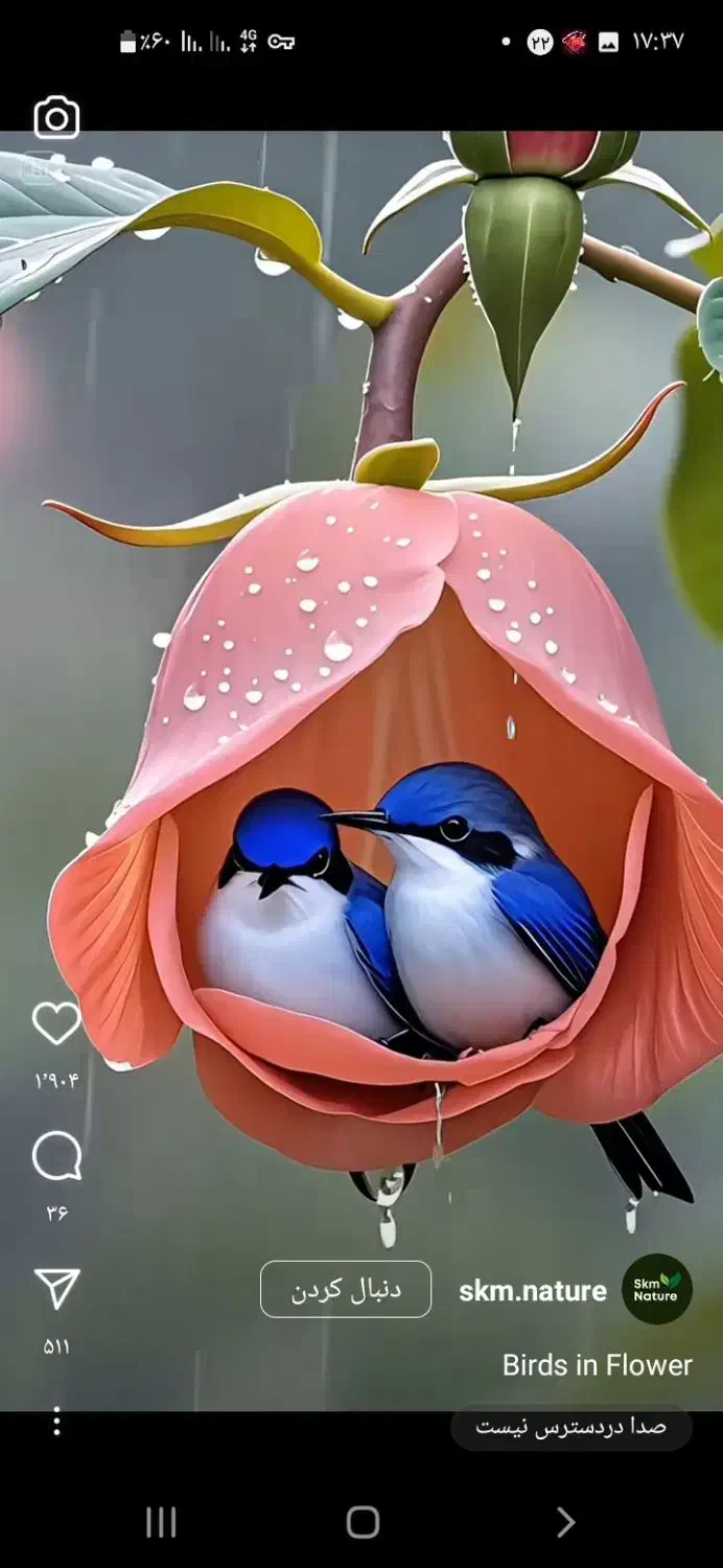 ثبت نام وام فرزند اوری وازدواج|خدمات مالی، حسابداری، بیمه|یاسوج, |دیوار