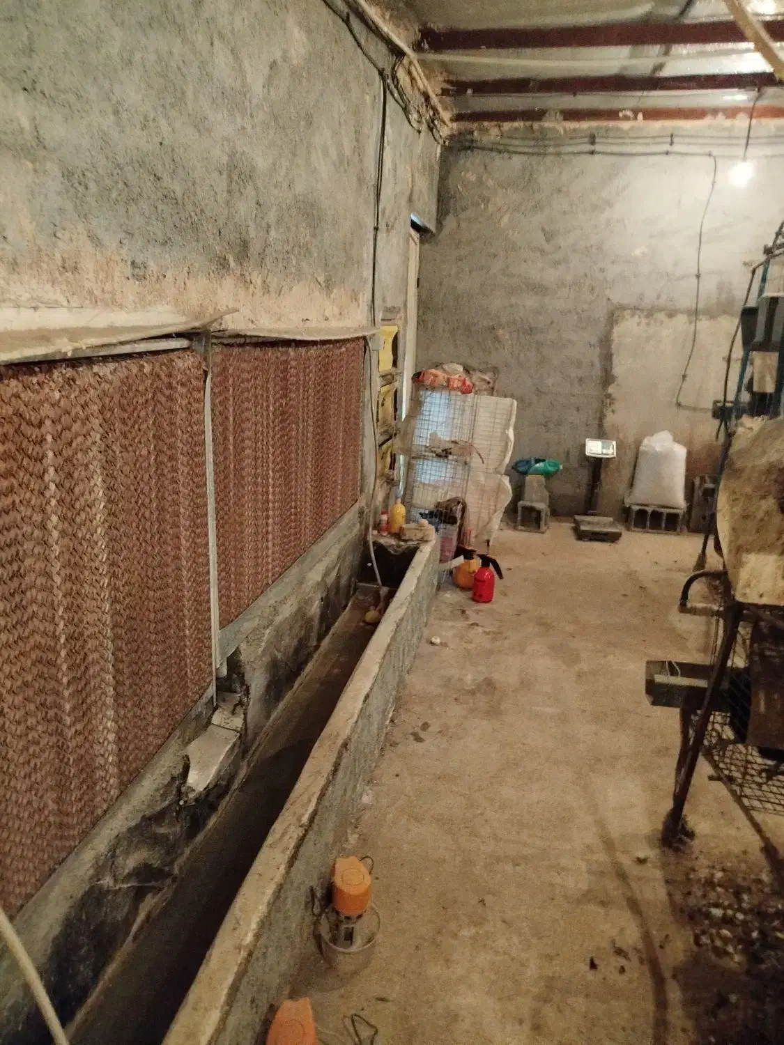 سالن پرورش مرغ تخمگذار|اجارهٔ دفتر صنعتی، کشاورزی، تجاری|فلاورجان, |دیوار