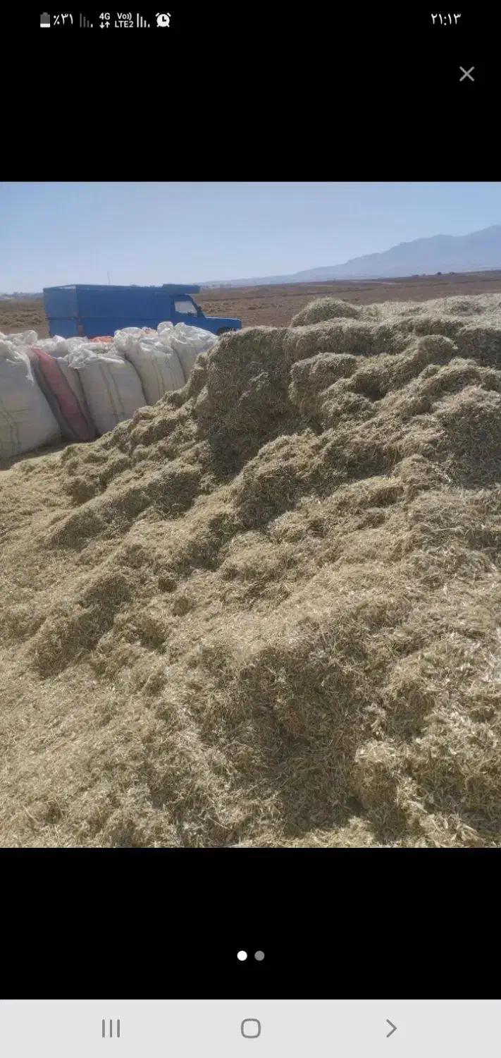 کاه لوبیا کاه گندم|لوازم جانبی حیوانات|توتکابن, |دیوار