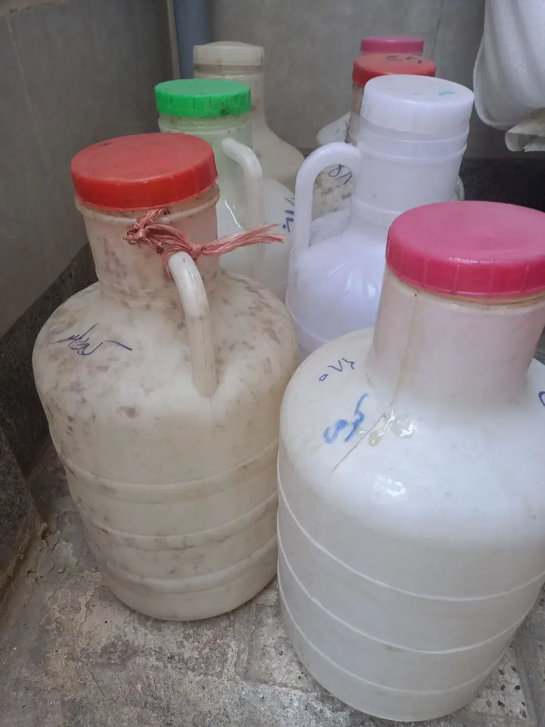 دبه عسل|خوردنی و آشامیدنی|مشهد, انقلاب|دیوار