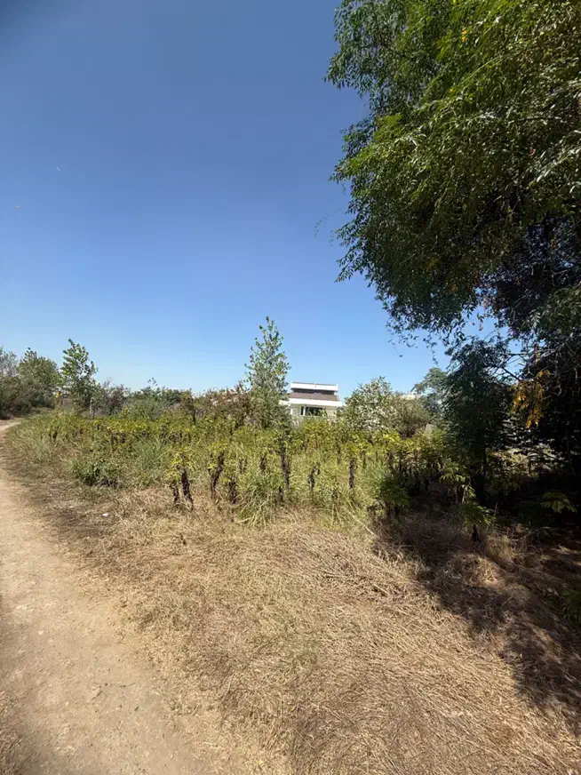 فروش زمین ۷۰۴ متری در پیله داربن در جاده پیربازار|فروش زمین و ملک کلنگی|رشت, پیله داربن|دیوار