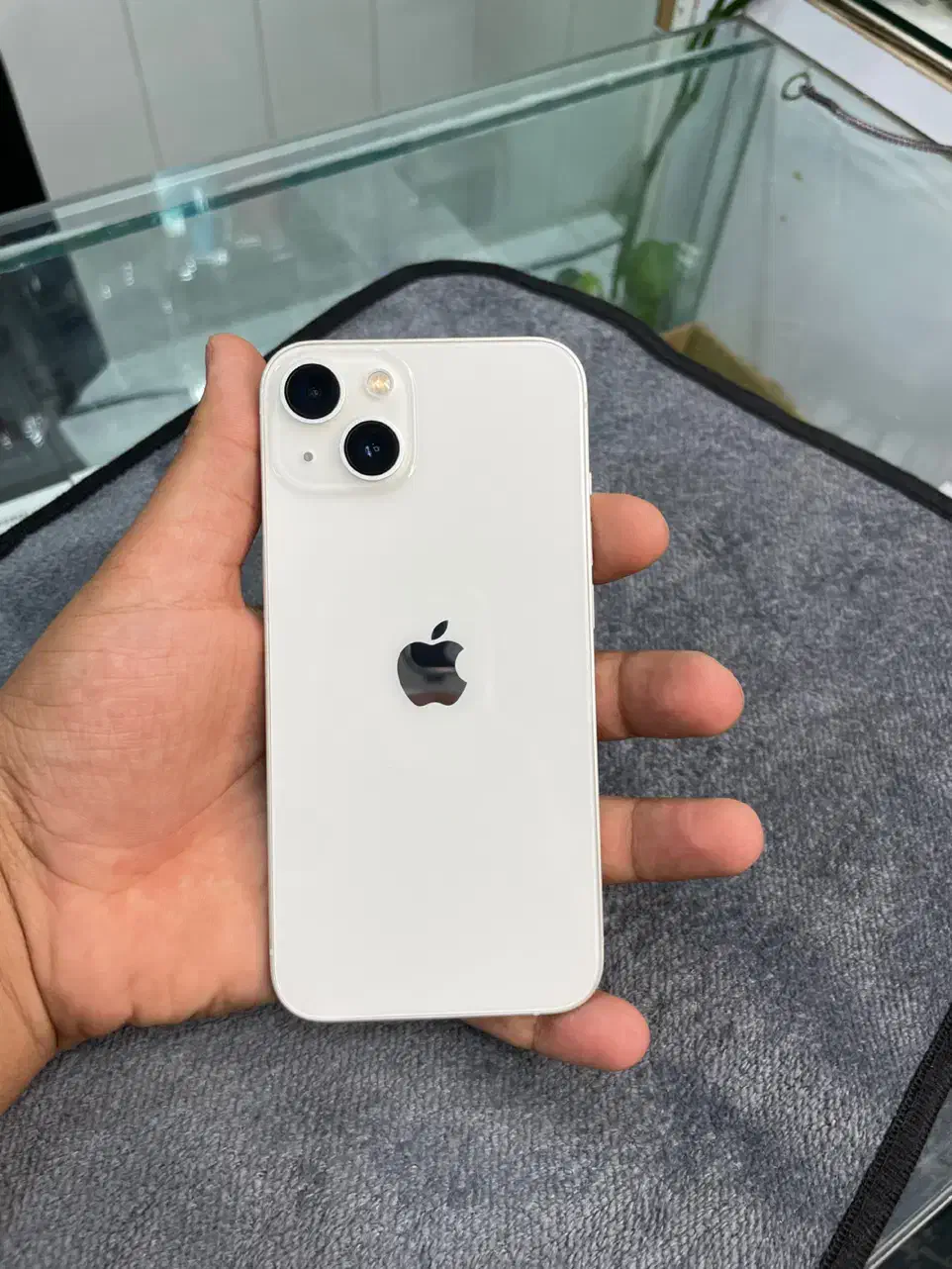 گوشی ایفون ۱۳ نرمال|موبایل|مرودشت, دولت آباد|دیوار