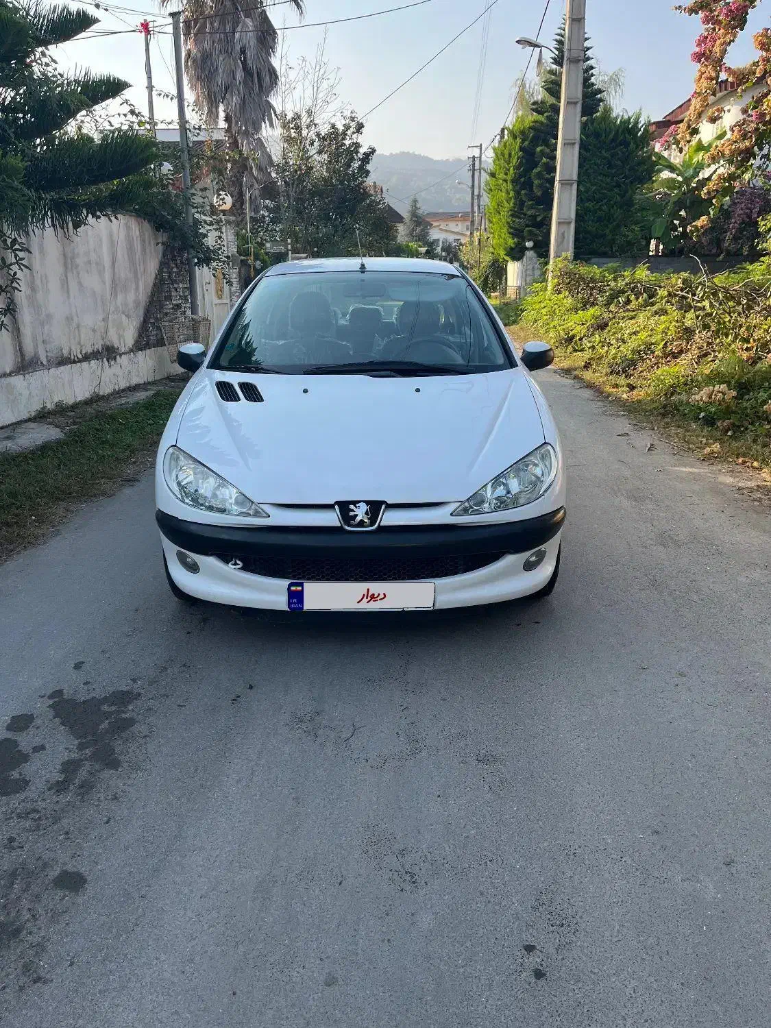 206مدل ۹۷بی رنگ|خودرو سواری و وانت|نوشهر, |دیوار