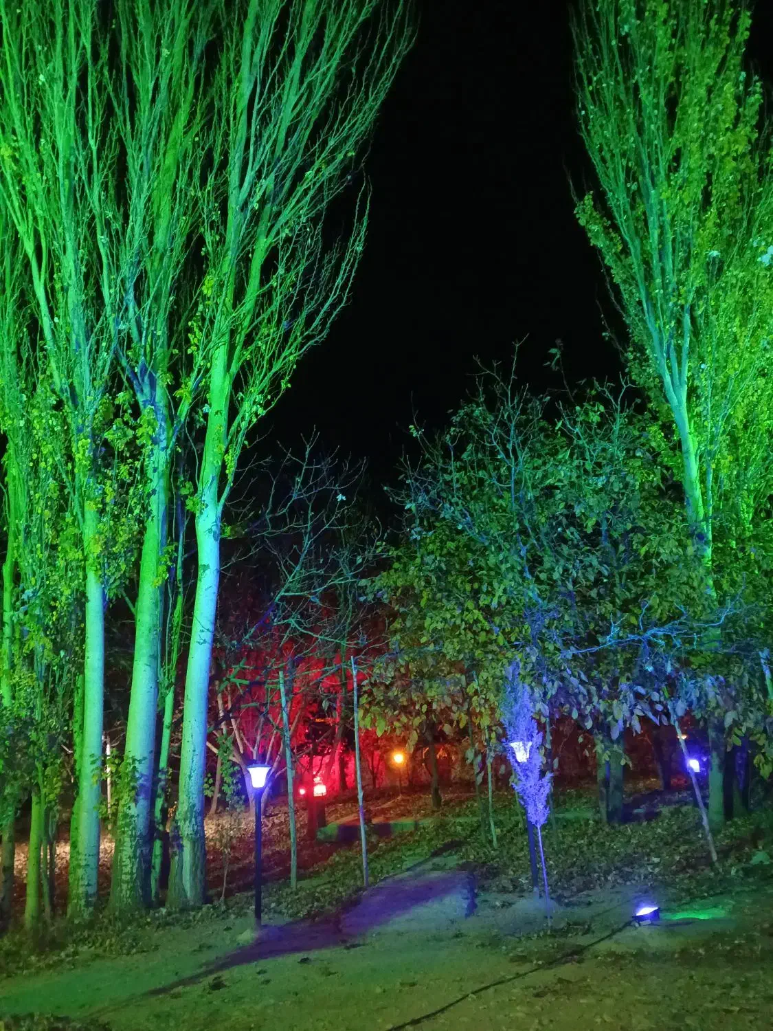 باغ ویلایی و باغ شهری|فروش خانه و ویلا|ارژن, |دیوار