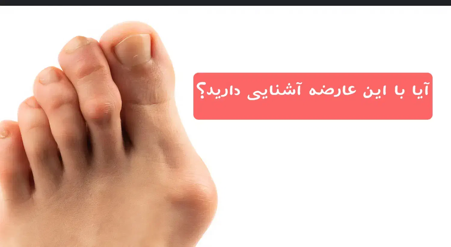 تجهیزات پزشکی سارگل|پزشکی|شیراز, قالیشویی|دیوار