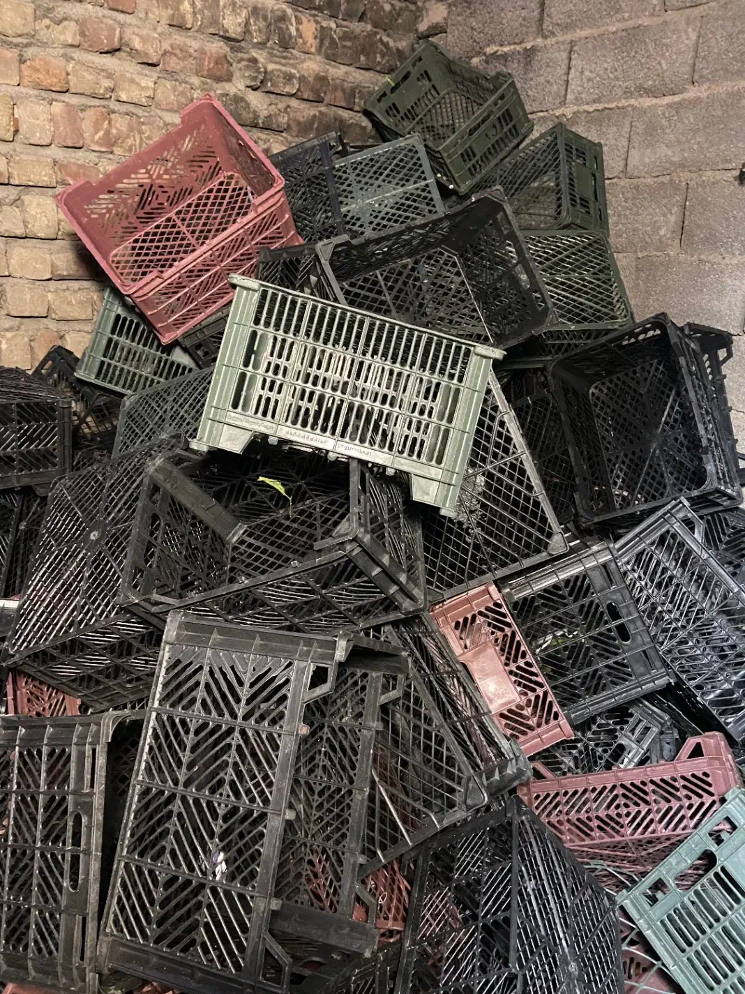 سبد میوه|ظروف نگهدارنده، پلاستیکی، یک‌بارمصرف|ساوه, |دیوار