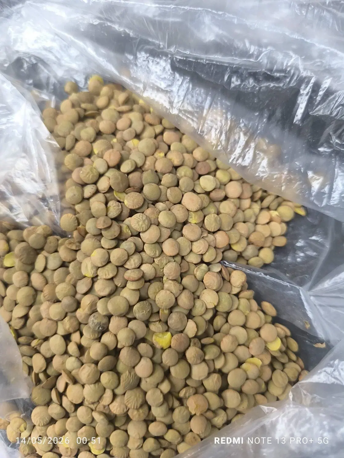 عدس|خوردنی و آشامیدنی|اصفهان, رزمندگان|دیوار