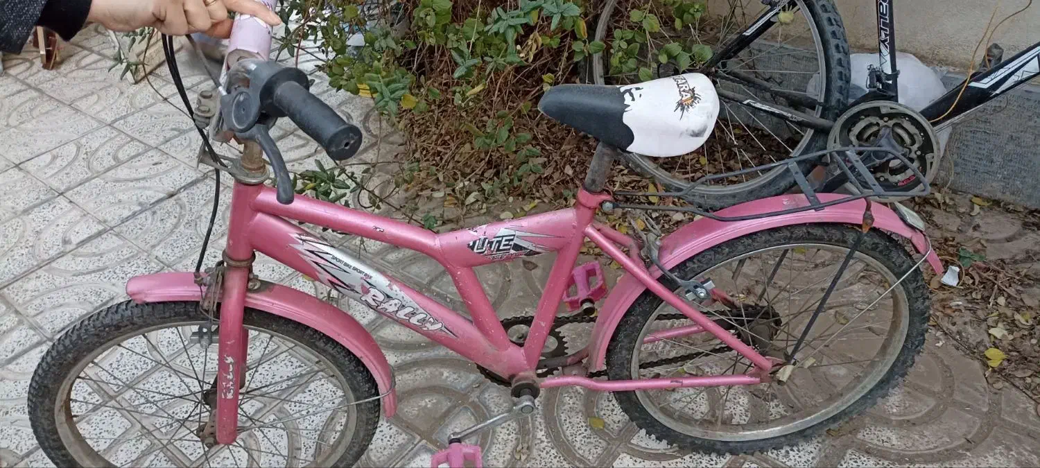 دوچرخه ۲۰ دخترانه|دوچرخه، اسکیت، اسکوتر|گلبهار, شهر جدید گلبهار|دیوار