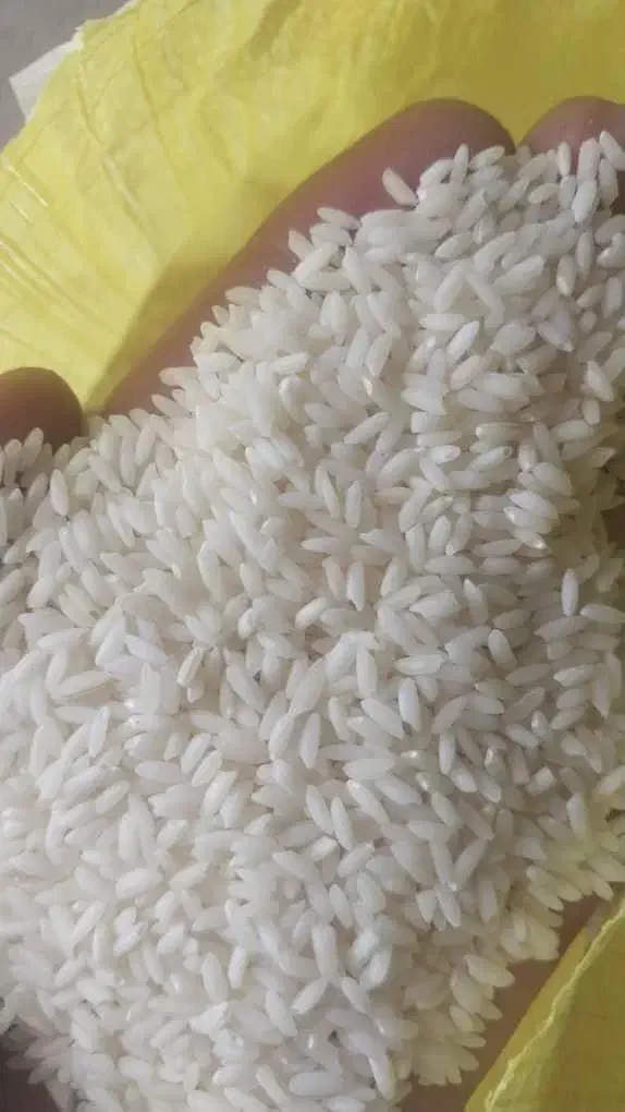 برنج عنبر بو شوشتر|خوردنی و آشامیدنی|قم, ارم|دیوار