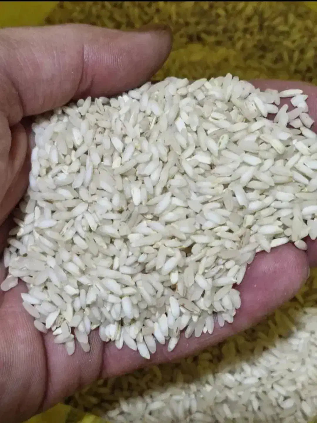 برنج عنبر بو لرستان خوش طعم|خوردنی و آشامیدنی|اصفهان, باغ زرشک|دیوار