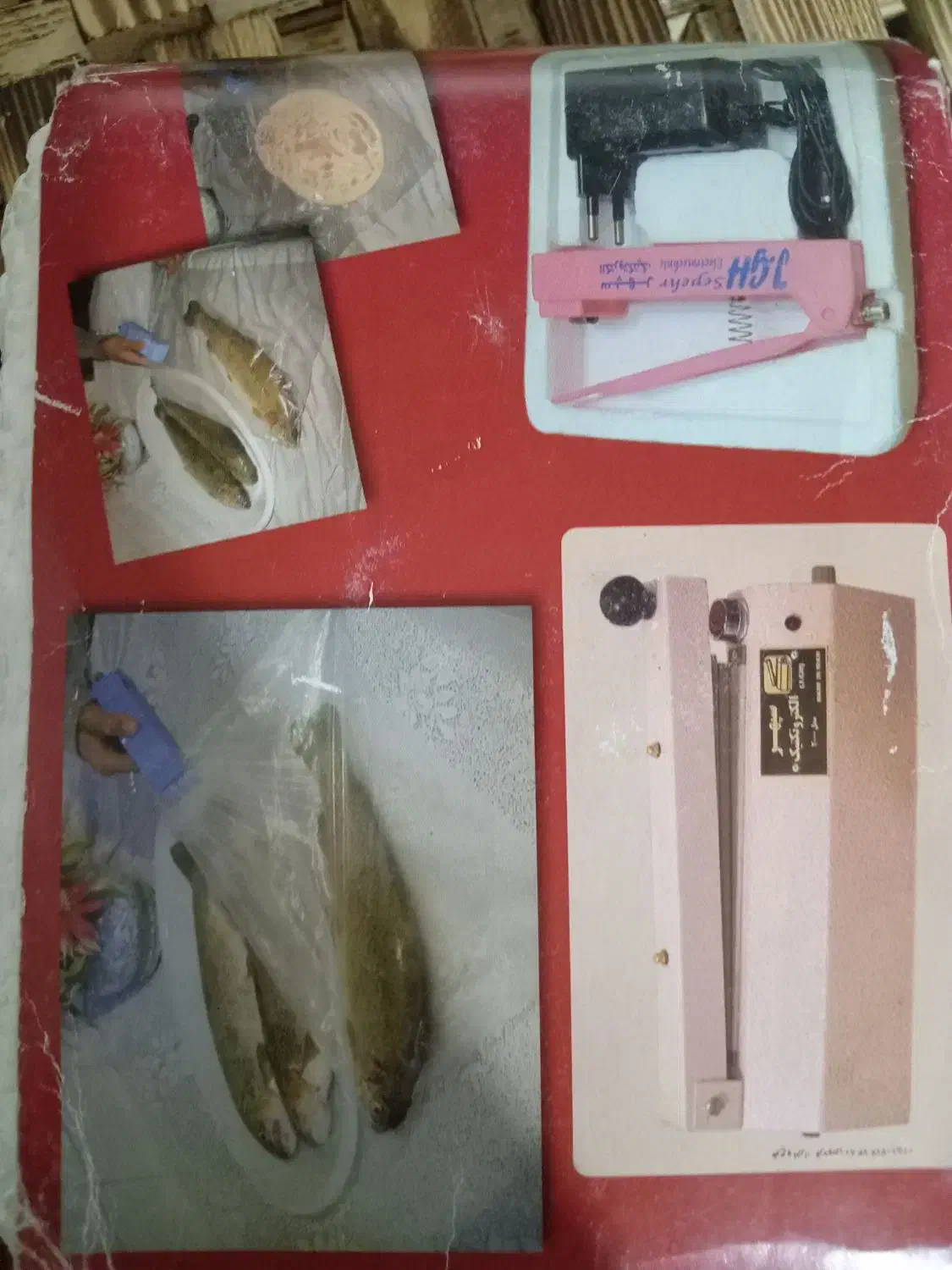 دمپای و وسایل دیگر|کیف، کفش، کمربند|نجف‌آباد, جلال آباد|دیوار