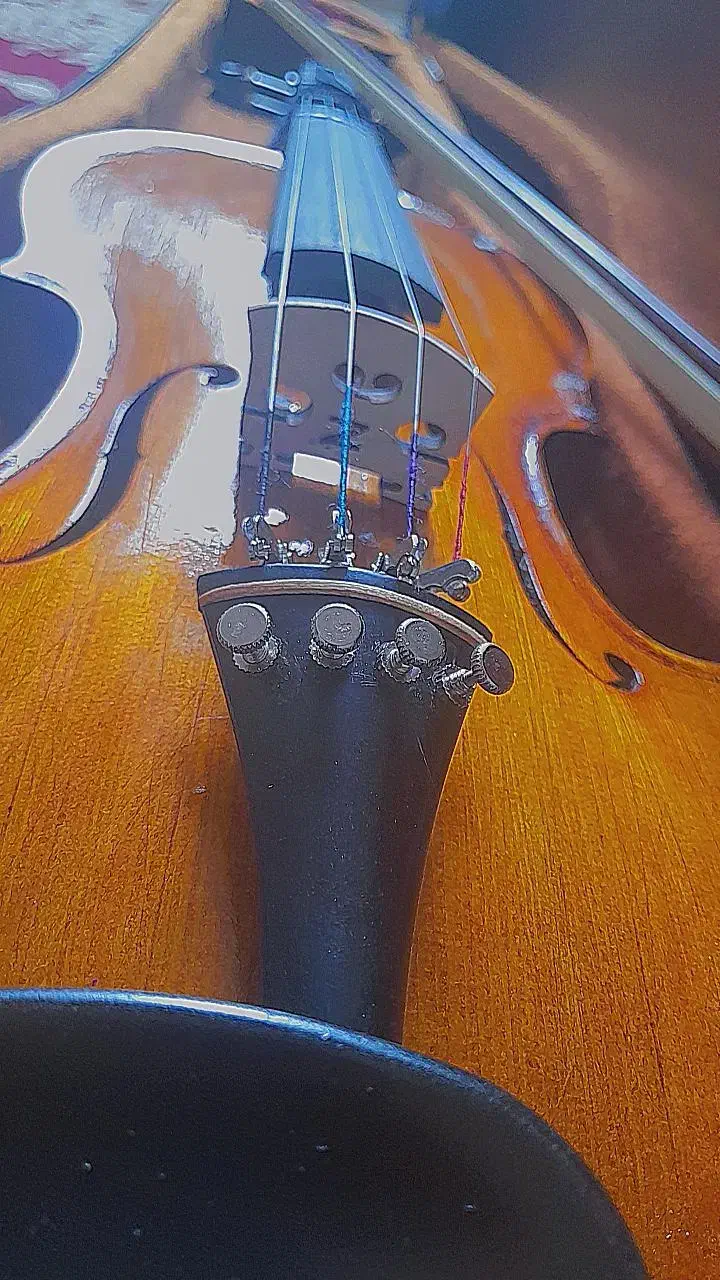 ویولن دست ساز|ویولن|فیروزآباد (فارس), |دیوار