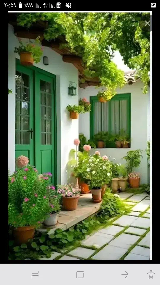 فروشی|گل و گیاه طبیعی|رفسنجان, |دیوار