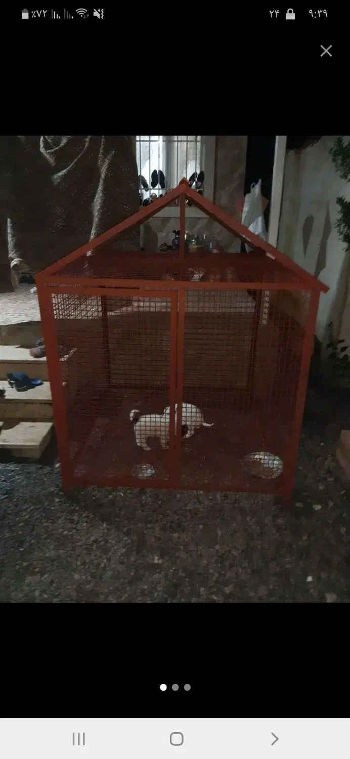 لونه سگ یا لونه مرغ بزرگ|لوازم جانبی حیوانات|رشت, آب آسیاب|دیوار