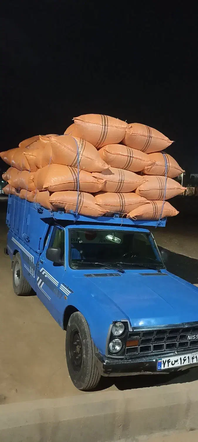 کاه سفید درجه یک|لوازم جانبی حیوانات|شهرکرد, |دیوار