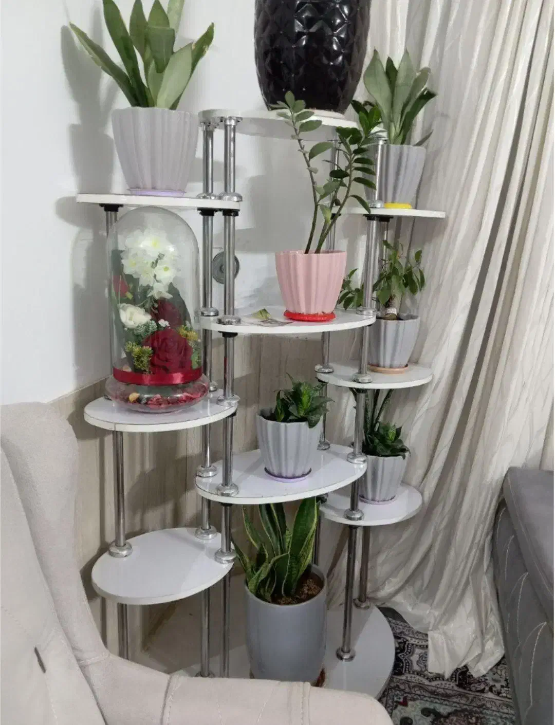 پایه گل|گل و گیاه طبیعی|ملکآباد, |دیوار