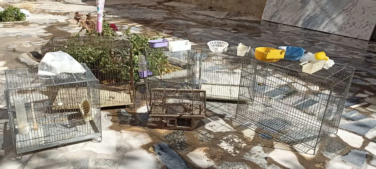 قفس و لوازم پرنده و سهره|لوازم جانبی حیوانات|قروه, |دیوار