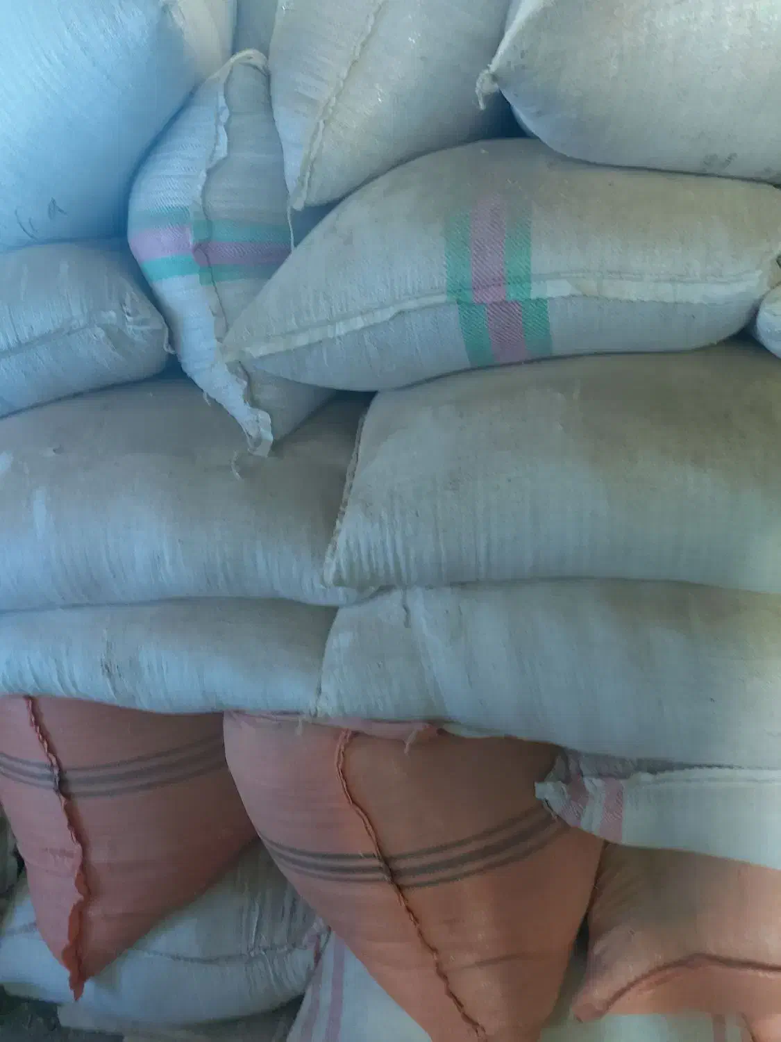 کاه سفید و‌ کاه نخود|حیوانات مزرعه|نجف‌آباد, قلعه سفید|دیوار