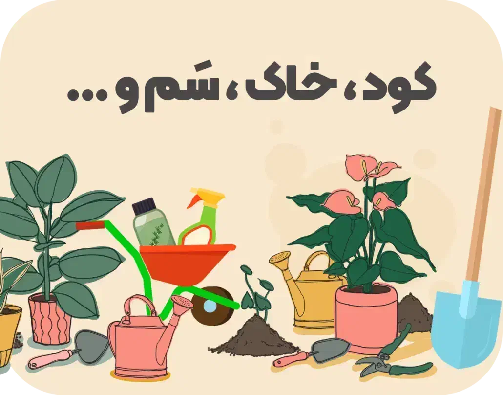 ویزیت گل و گیاه در منزل پیگیری تا رفع مشکل|خدمات باغبانی و درختکاری|ملکان, |دیوار