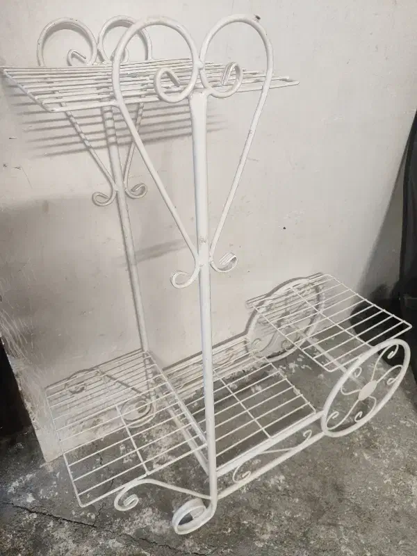 استند گل و سینما خانواده|گل و گیاه طبیعی|ورامین, ورامین|دیوار