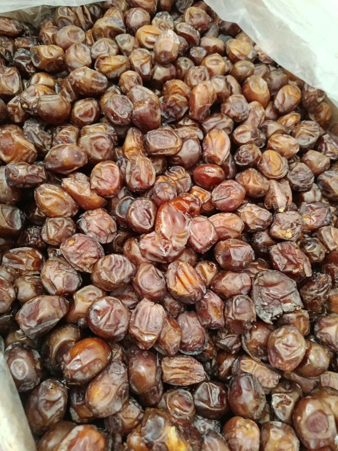 خرما خاصویی فارس|خوردنی و آشامیدنی|قم, بوستان علوی|دیوار
