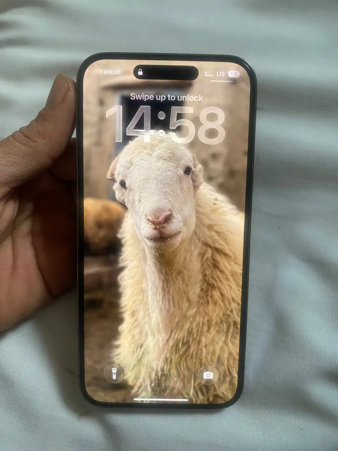 آیفون ۱۴پرو مکس|موبایل|اسفراین, |دیوار