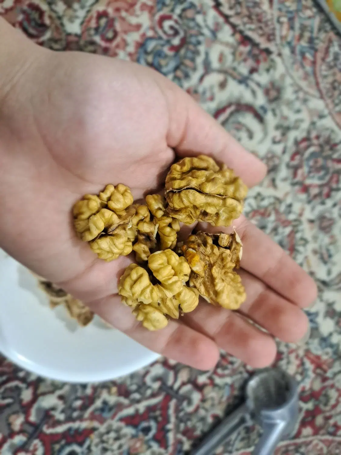 گردو|خوردنی و آشامیدنی|یاسوج, |دیوار