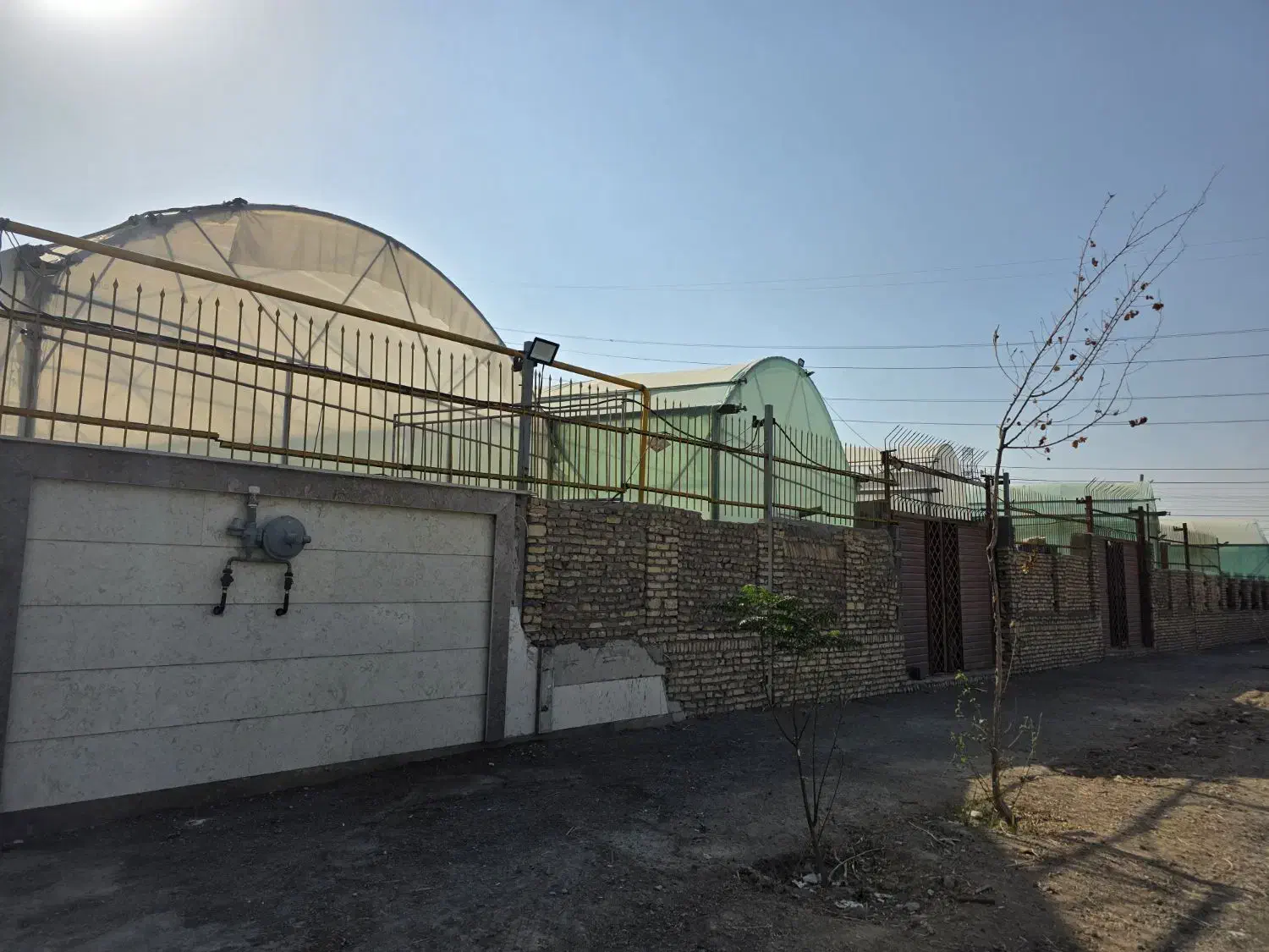 گلخانه فروش در حال کشت خیار|فروش دفتر صنعتی، کشاورزی، تجاری|خاوران, |دیوار