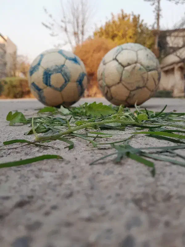 توپ|ورزشهای توپی|تهران, اقدسیه|دیوار