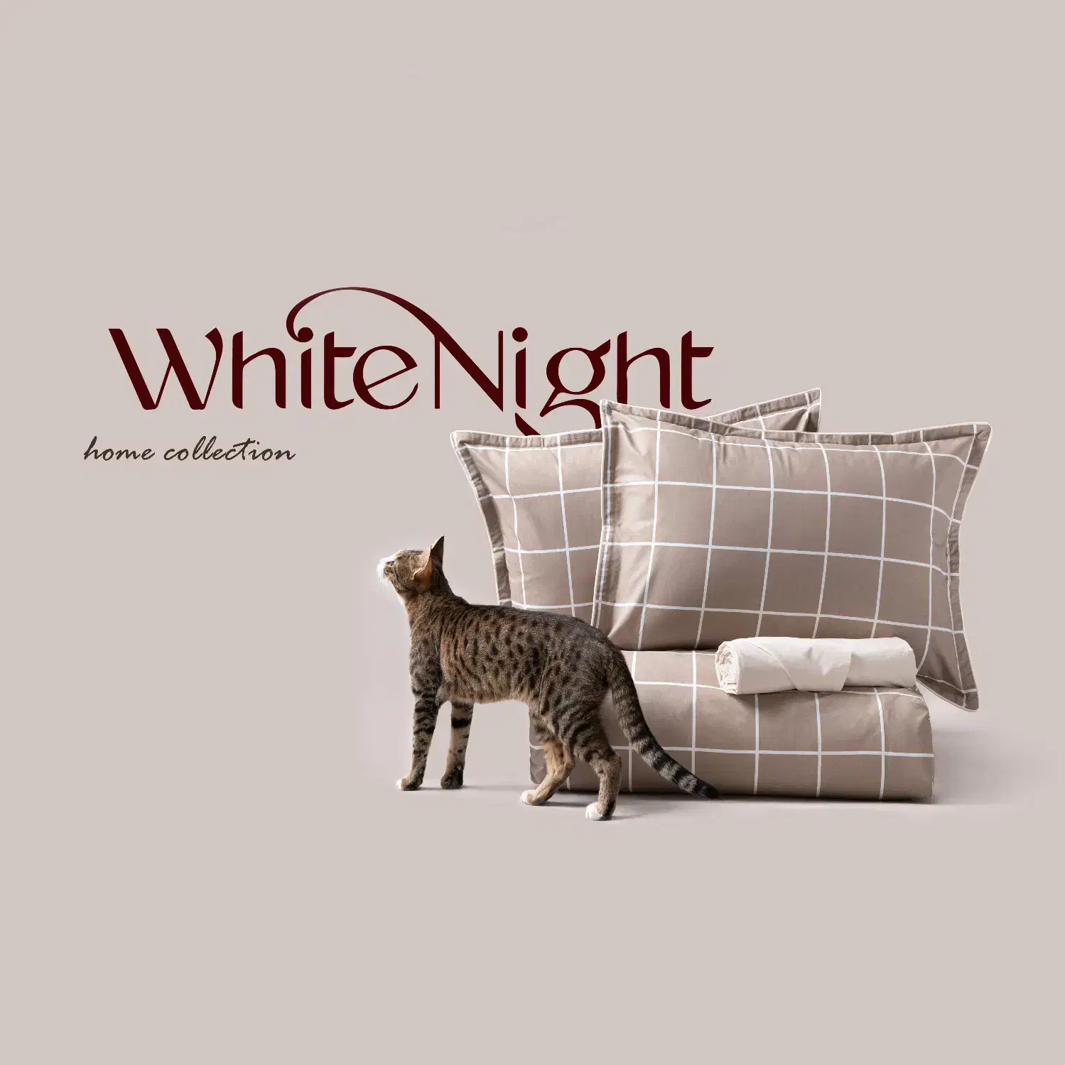 عکاسی محصول و تولید محتوا|خدمات پذیرایی، مراسم|مشهد, تربیت (صدف)|دیوار