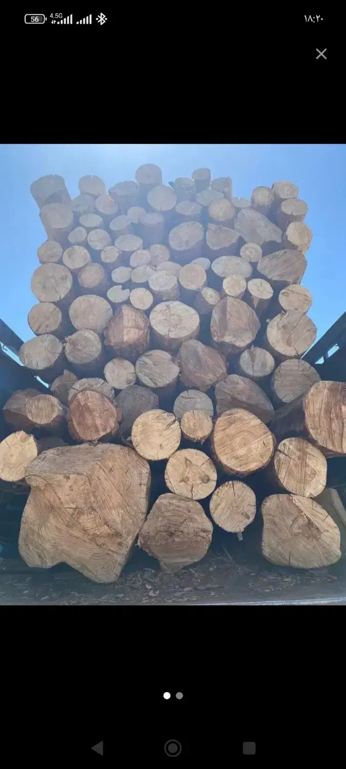 خریدارچوب|خدمات باغبانی و درختکاری|ماهدشت, |دیوار