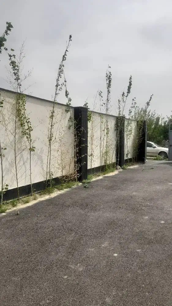 باغچه 314متری|فروش زمین و ملک کلنگی|هشتگرد, تهران دشت|دیوار