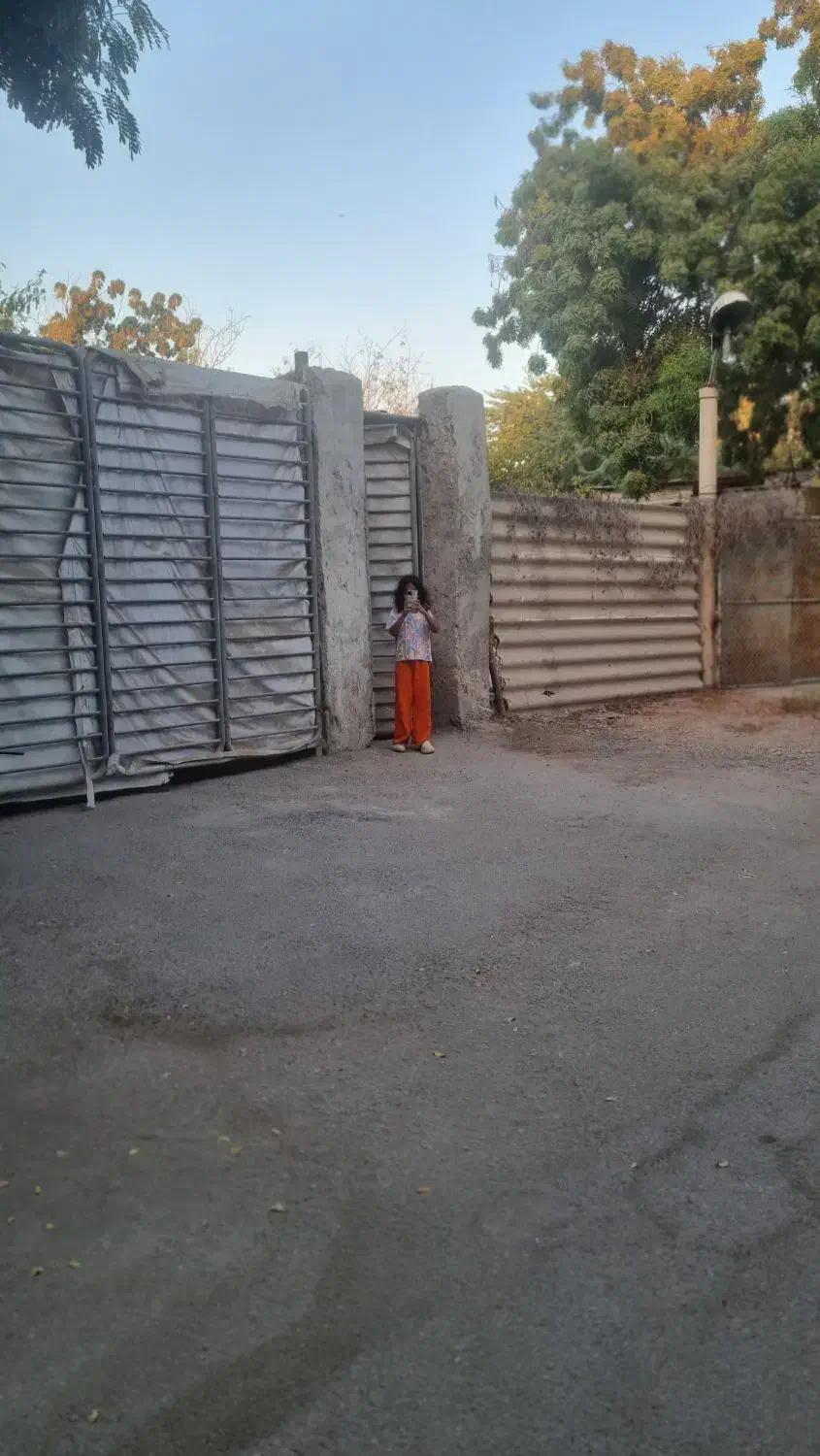 زار جزیره هرمز|فعالیت داوطلبانه تحقیقاتی|بندرعباس, |دیوار