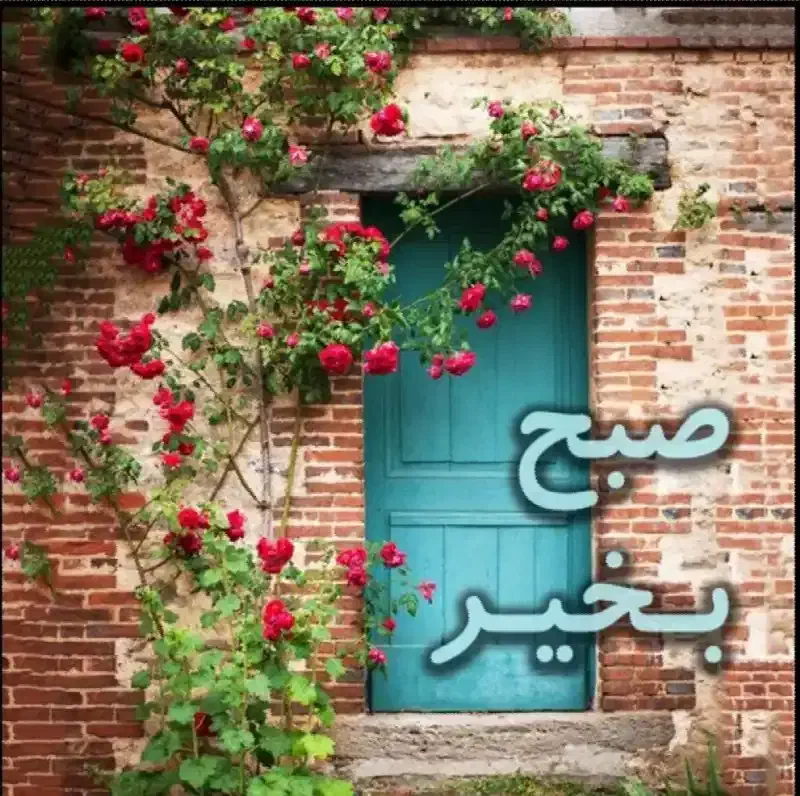 احتیاج ب نیروی کار|استخدام خدمات فروشگاه و رستوران|زیباشهر, |دیوار