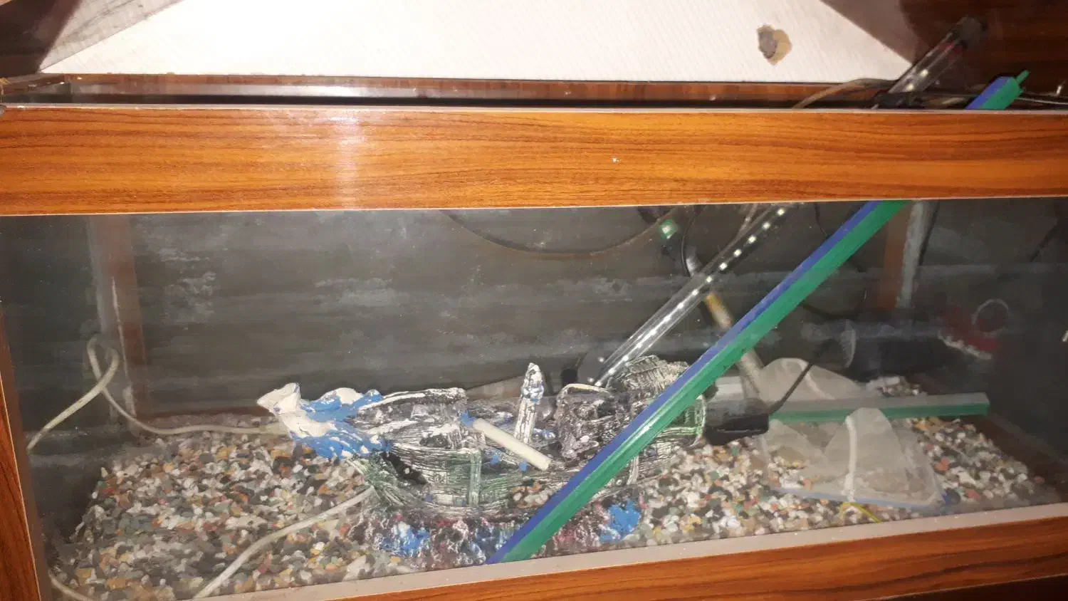 آکواریوم|ماهی|بندر انزلی, مسکن مهر|دیوار