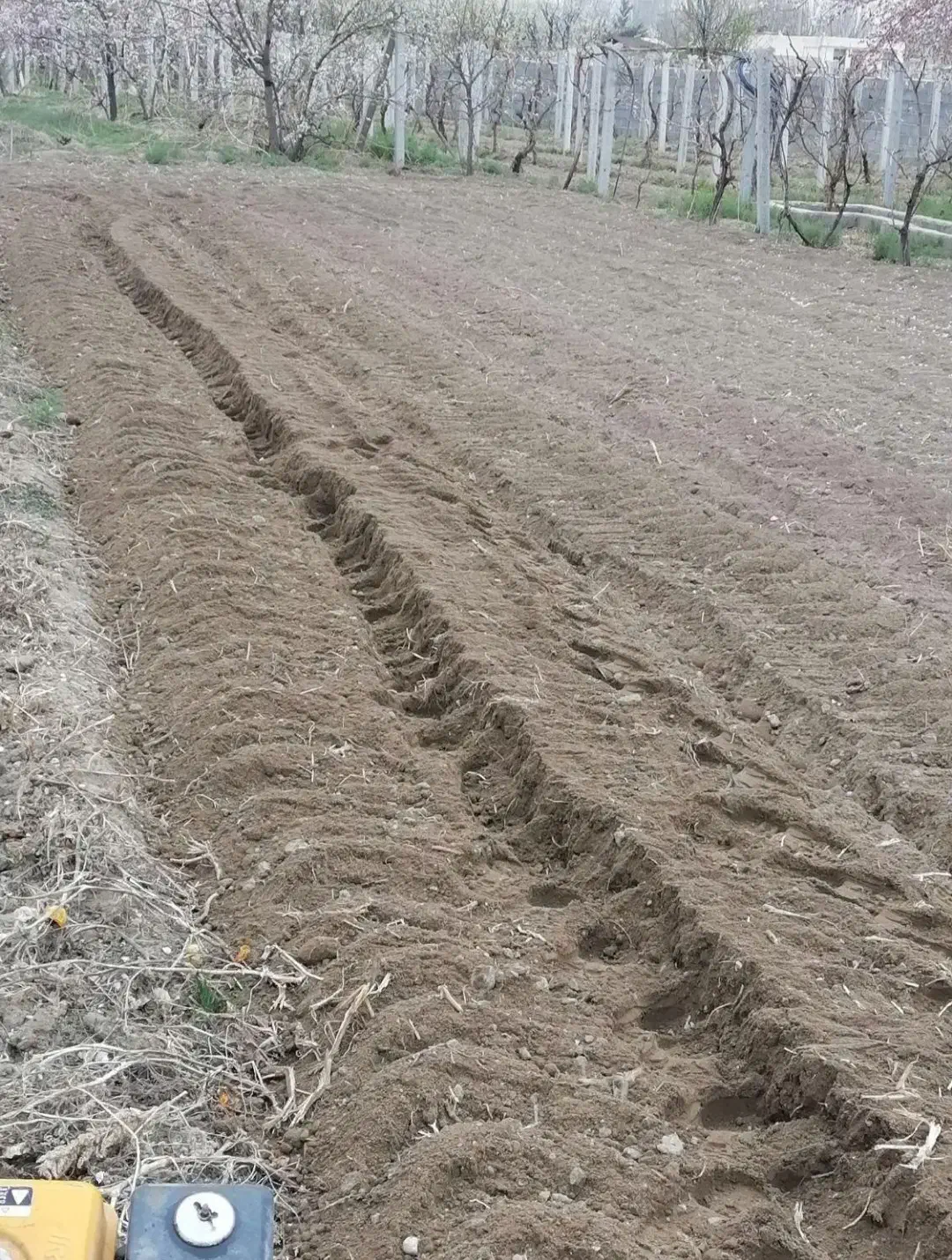 شخم زنی با کلتواتور ۱۰ اسب|خدمات باغبانی و درختکاری|ارومیه, |دیوار