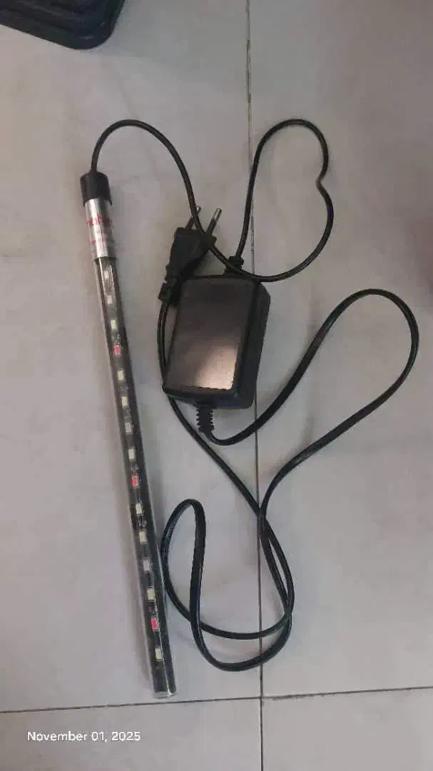 آکواریوم ماهیران|ماهی|فردیس, خیام شرقی|دیوار