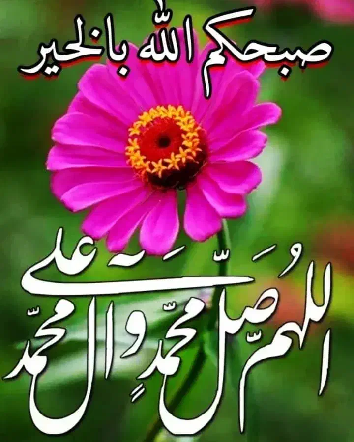 جذب خانم جهت نظافت|استخدام سرایداری و نظافت|اهواز, پردیس|دیوار