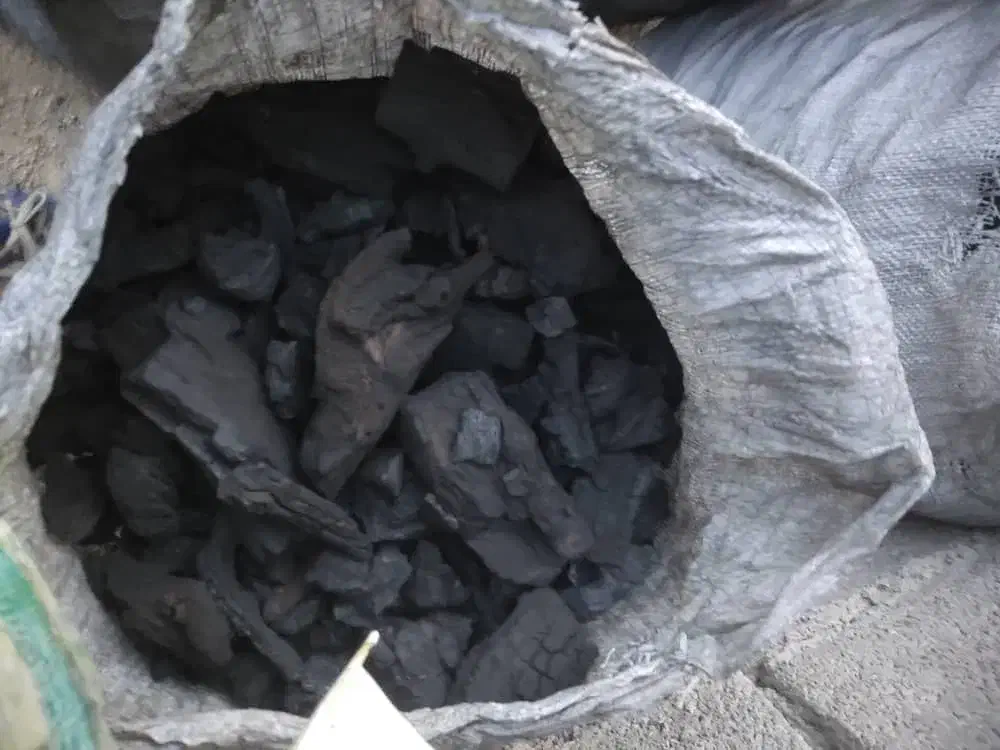 زغال فروشی|کوهنوردی و کمپینگ|رامشیر, |دیوار