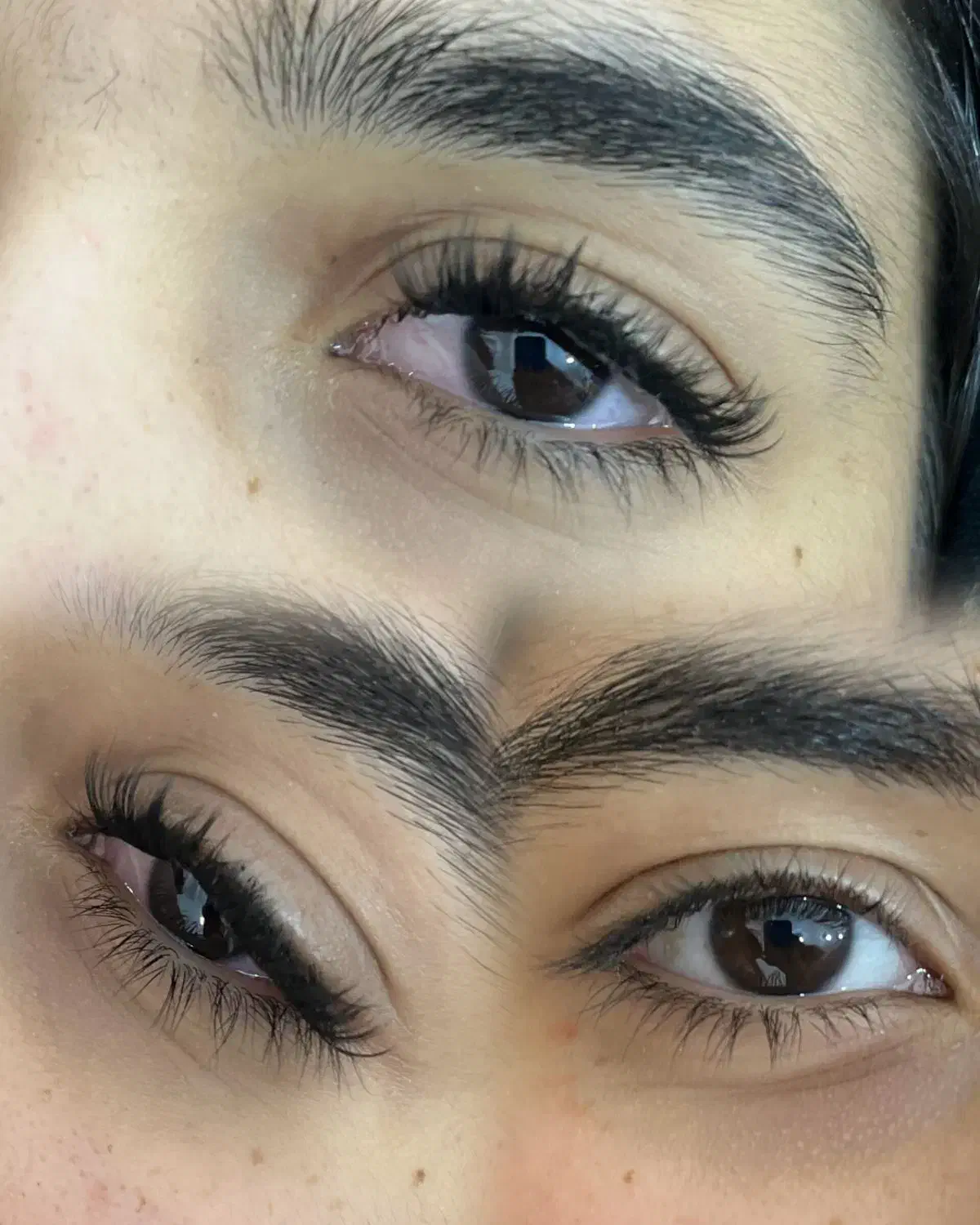 کاشت هیدن|خدمات آرایشگری و زیبایی|بوشهر, |دیوار