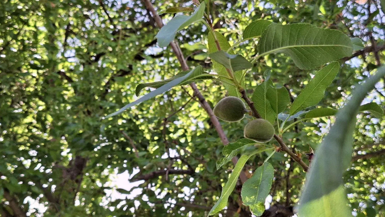 تصویر 12