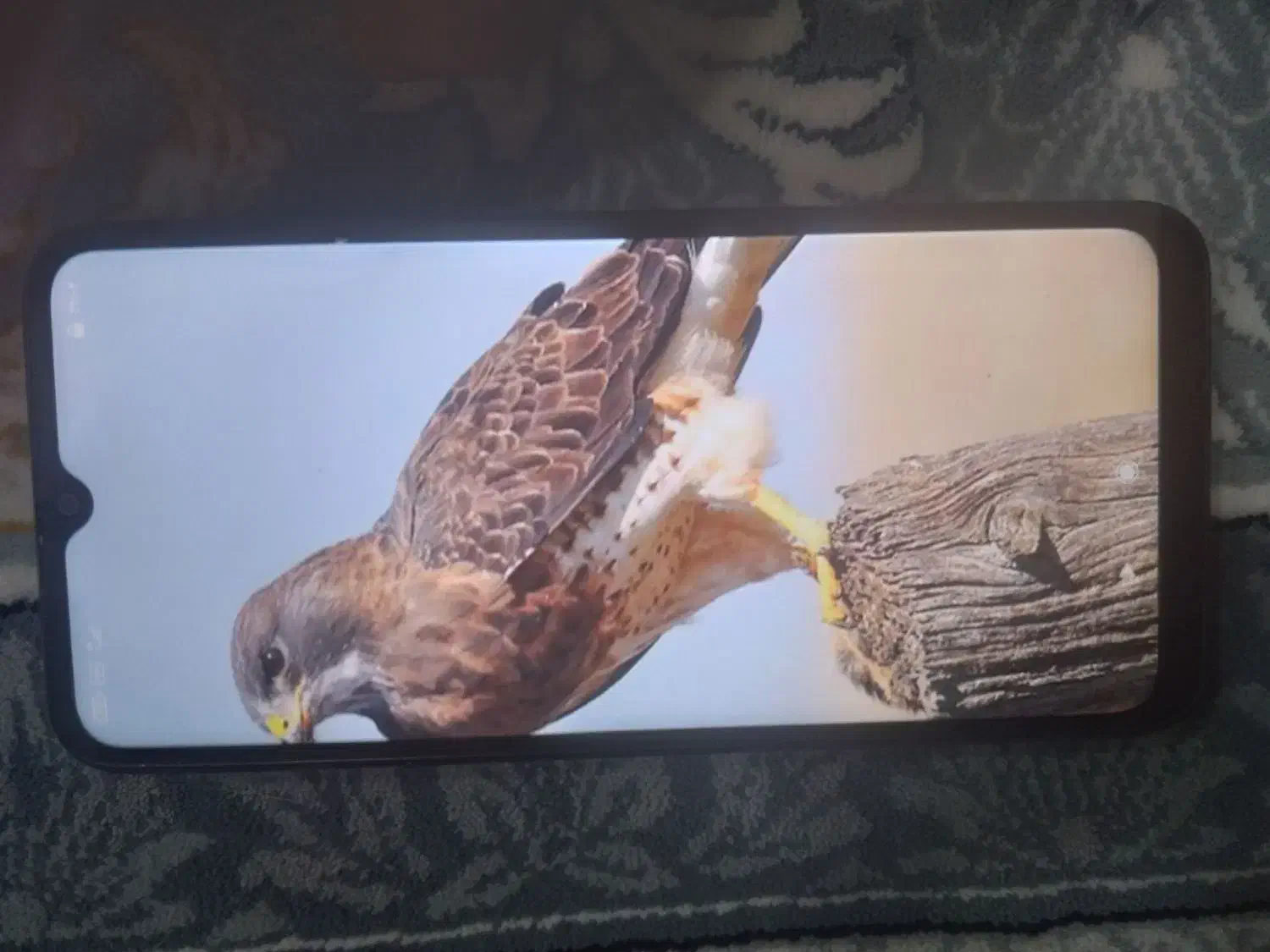 ردمی a9|موبایل|نورآباد, |دیوار