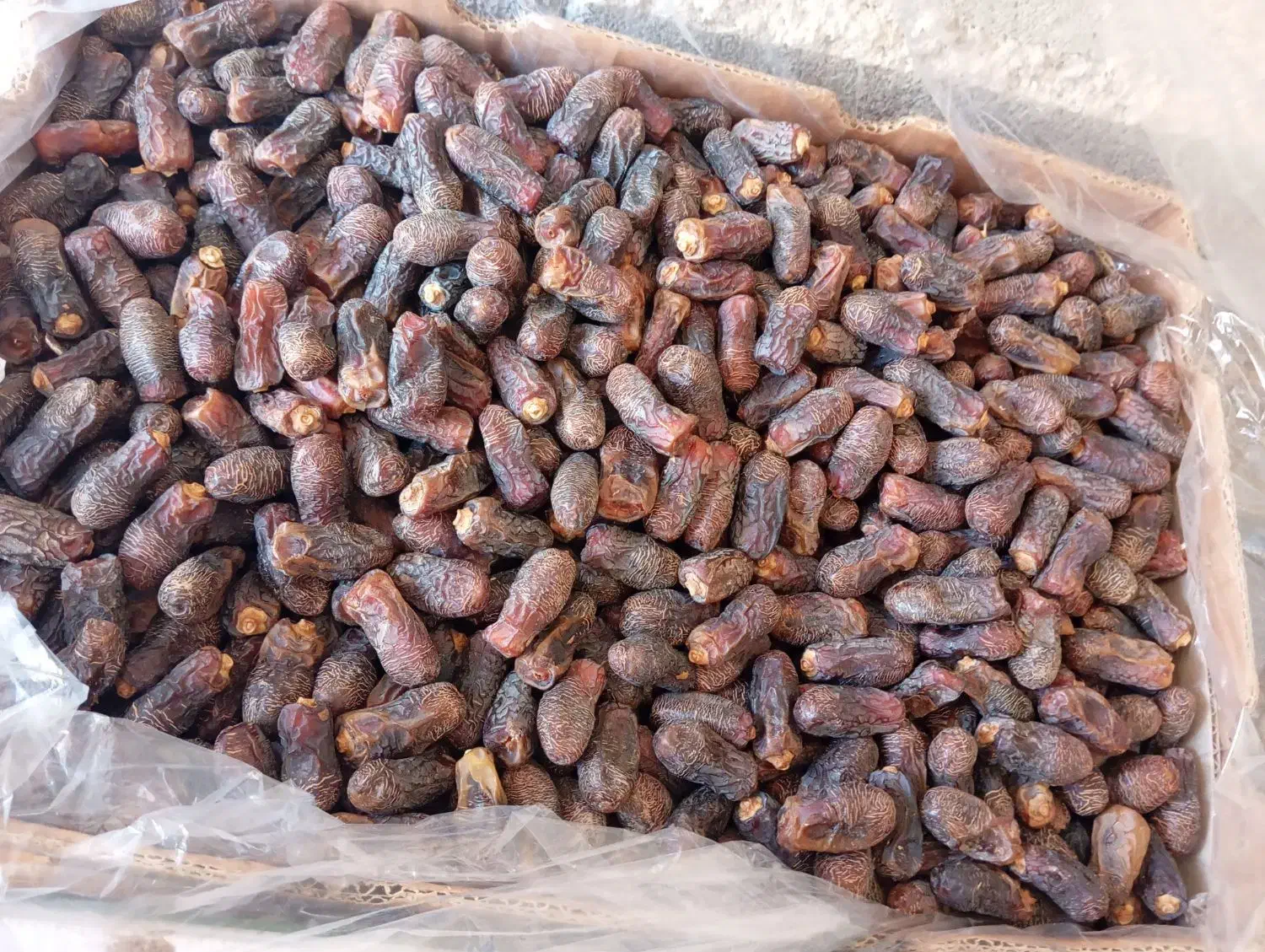 خرما پیارم|حراج|بندرعباس, |دیوار