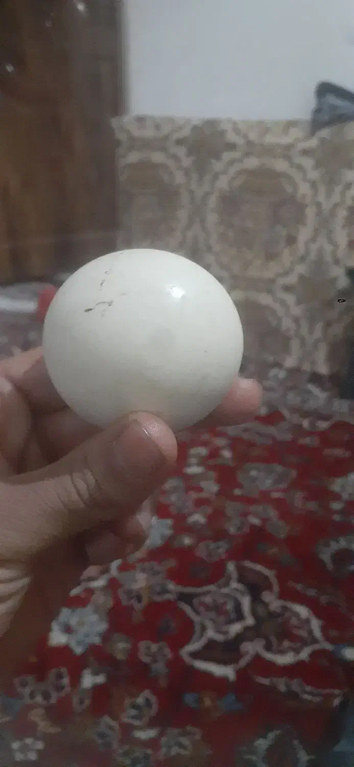 سنگ الماس اسیاب|جواهرات|تاکستان, |دیوار