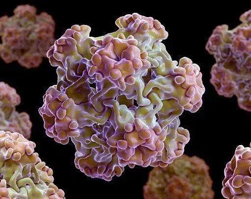 بهبودزگیل تناسلی|آرایشی، بهداشتی، درمانی|علیآباد کتول, |دیوار