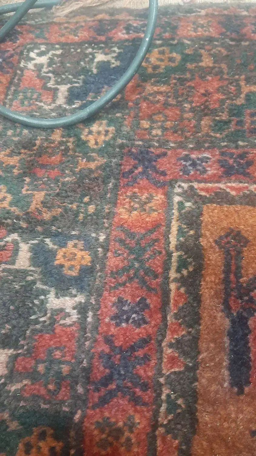 قالی قدیمی|کلکسیون اشیاء عتیقه|یزد, |دیوار