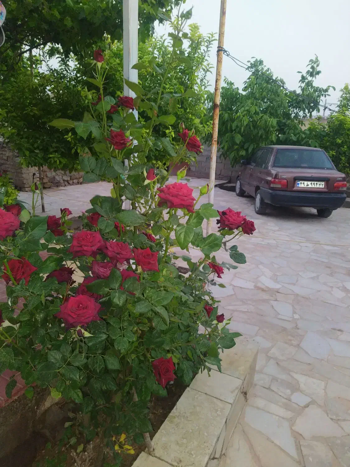 خونه ویلایی|فروش خانه و ویلا|رادکان, |دیوار