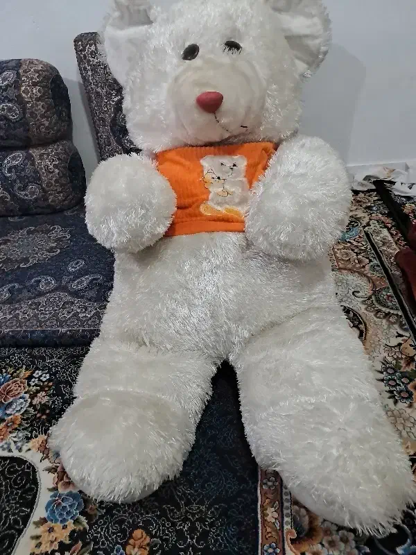 خرس‌‌سفید|اسباب‌بازی بچه|مشکین‌دشت, |دیوار