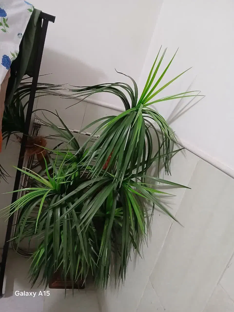 گل مصنوعی باگلدان بزرگ|گل مصنوعی|اردکان, |دیوار