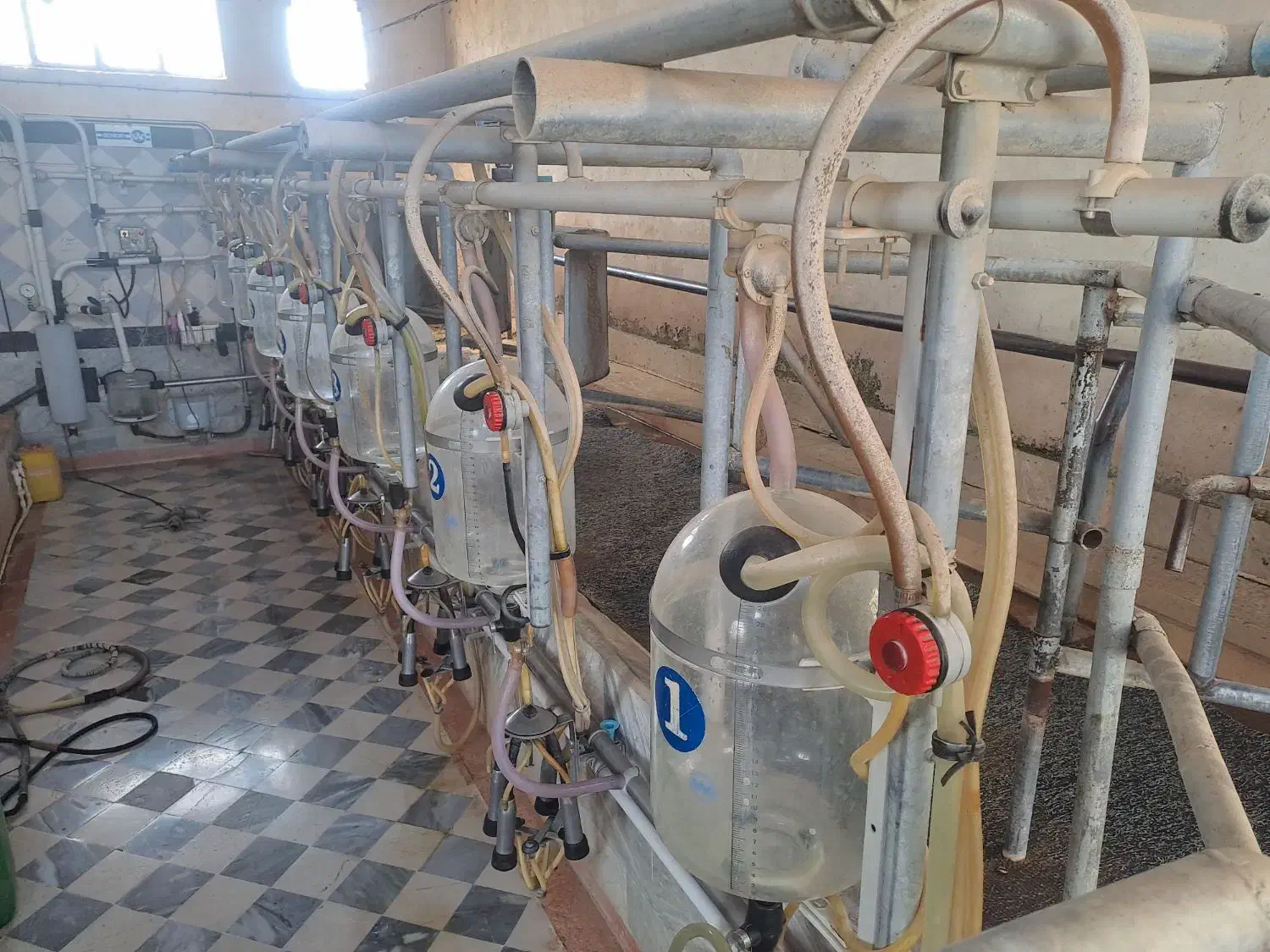 کارگر ایرانی شیردوش تمام وقت + خانه رایگان|استخدام صنعتی، فنی، مهندسی|جوادآباد, |دیوار